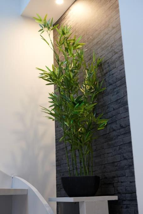 שולה Le Duplex Horizon Travot Vue Splendide Et Central מראה חיצוני תמונה
